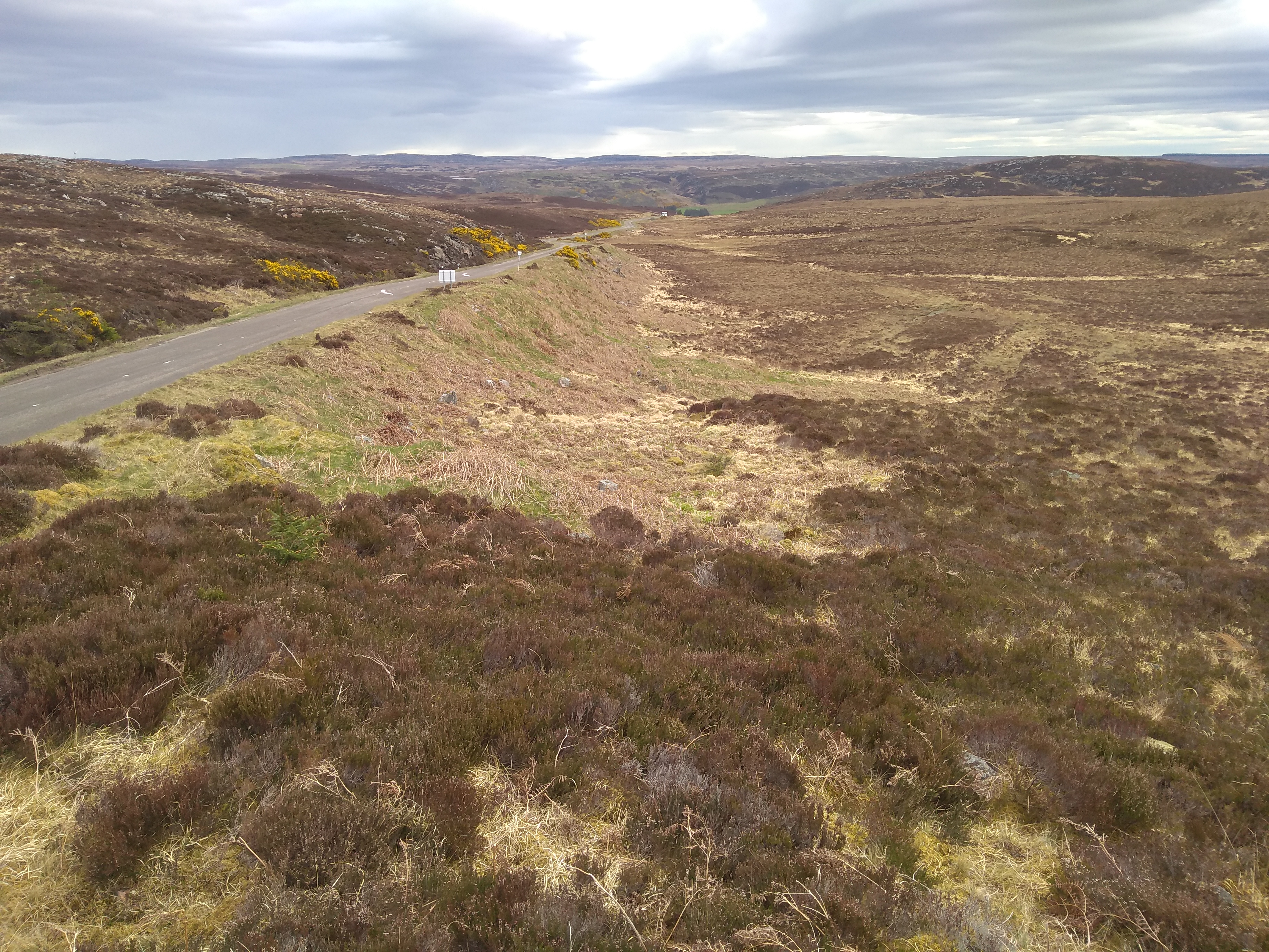 Moorland and road