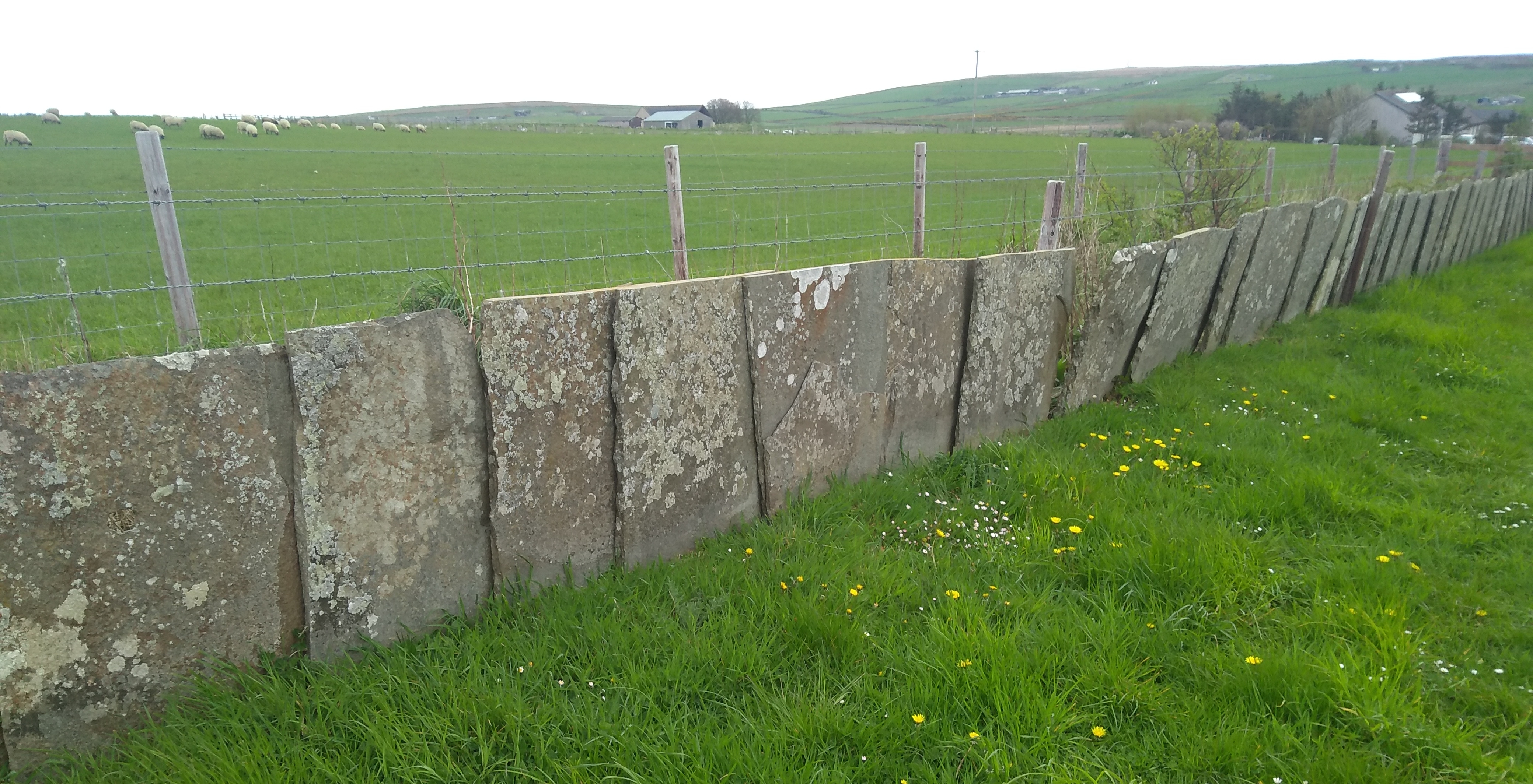 Rock fence