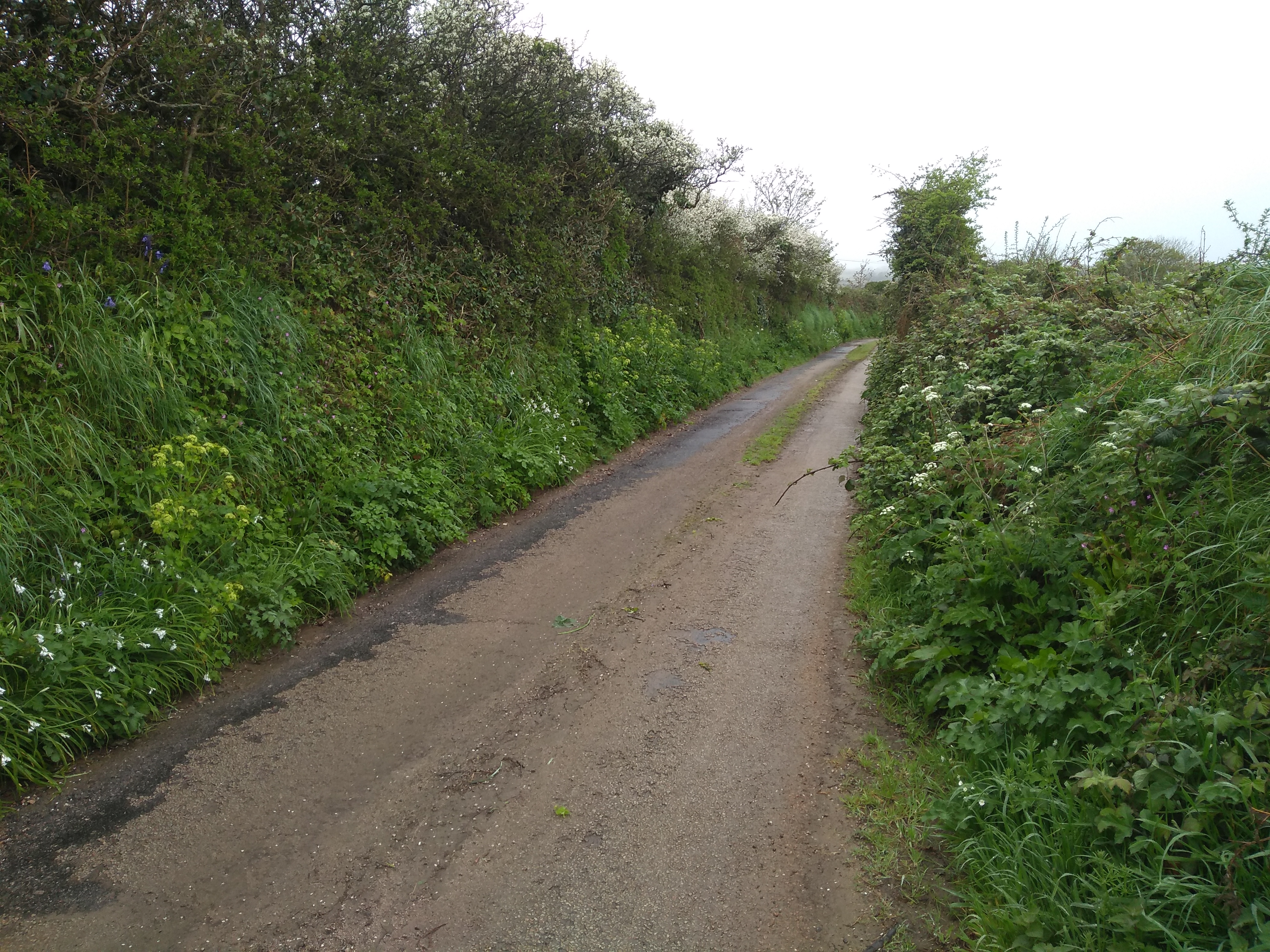 Cornish minor road