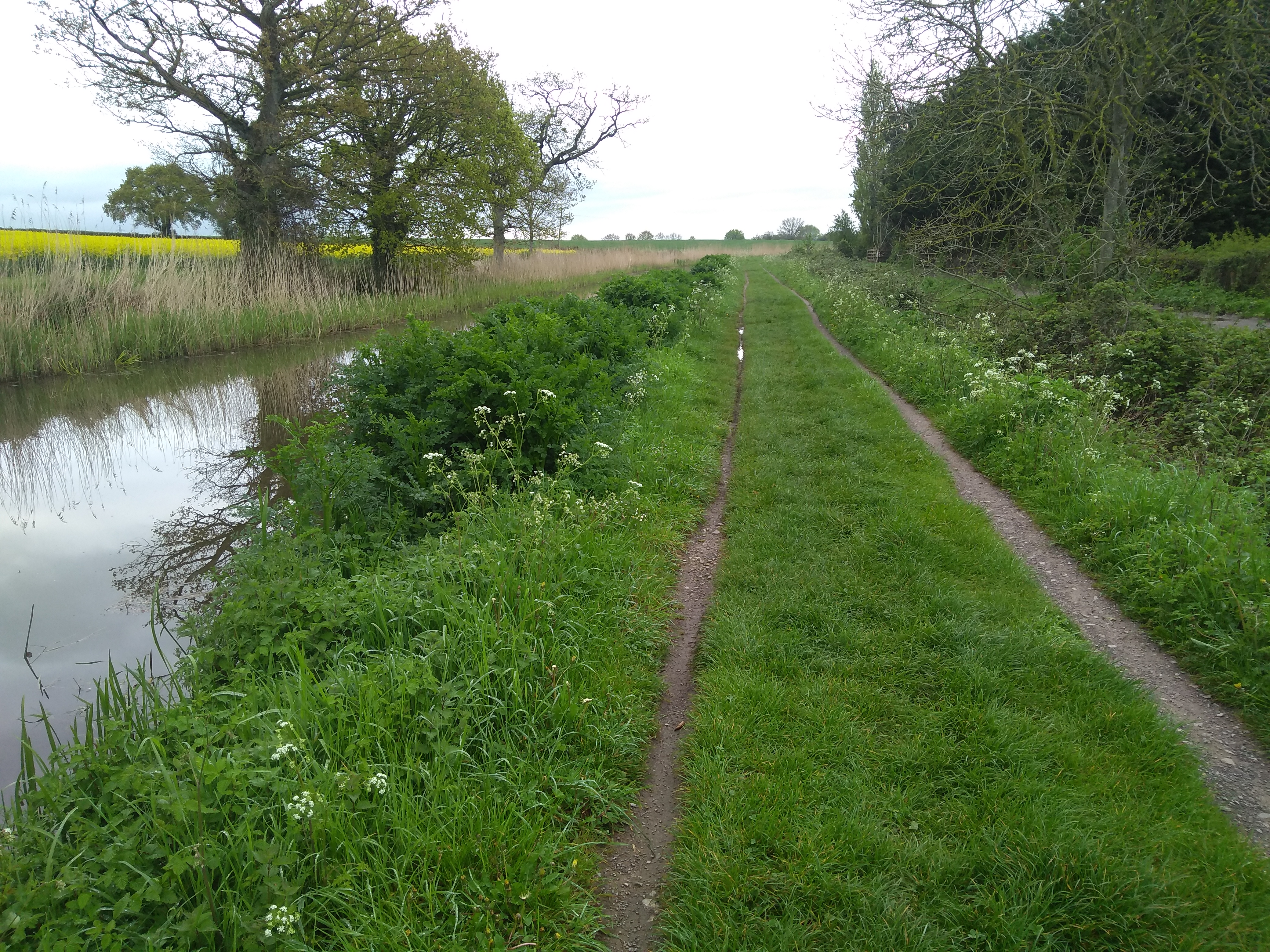 Rut along canal path