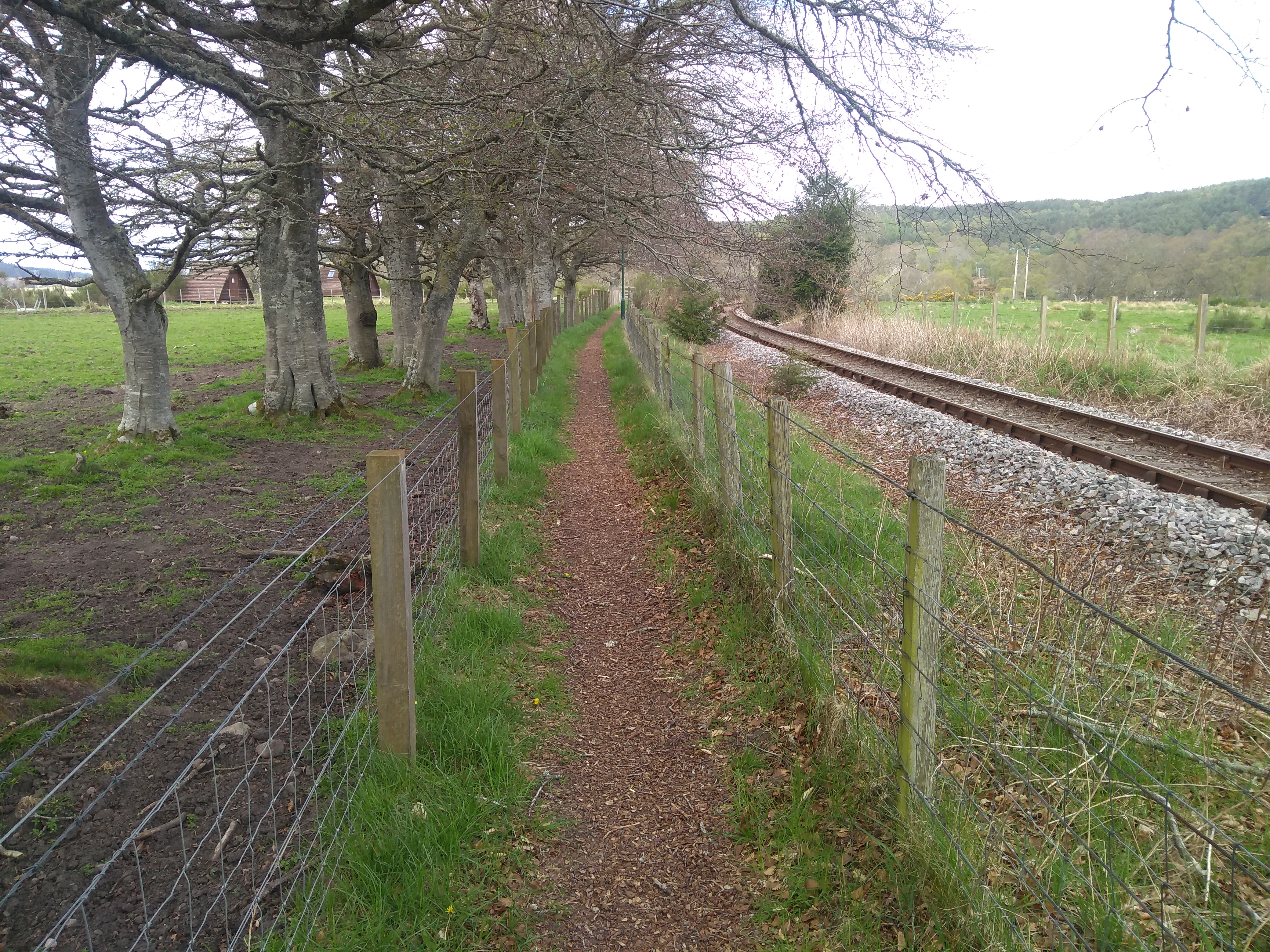 Narrow path by railway