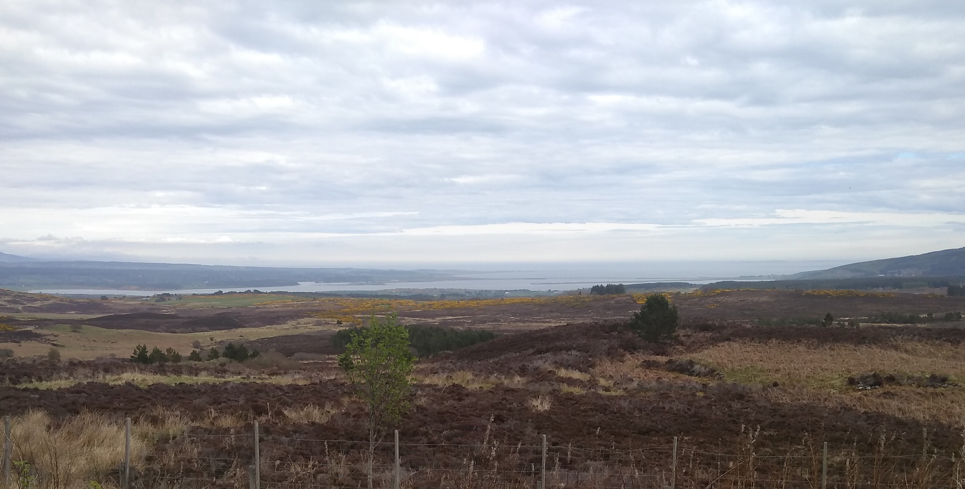 View over moorland to the Dornoch firth