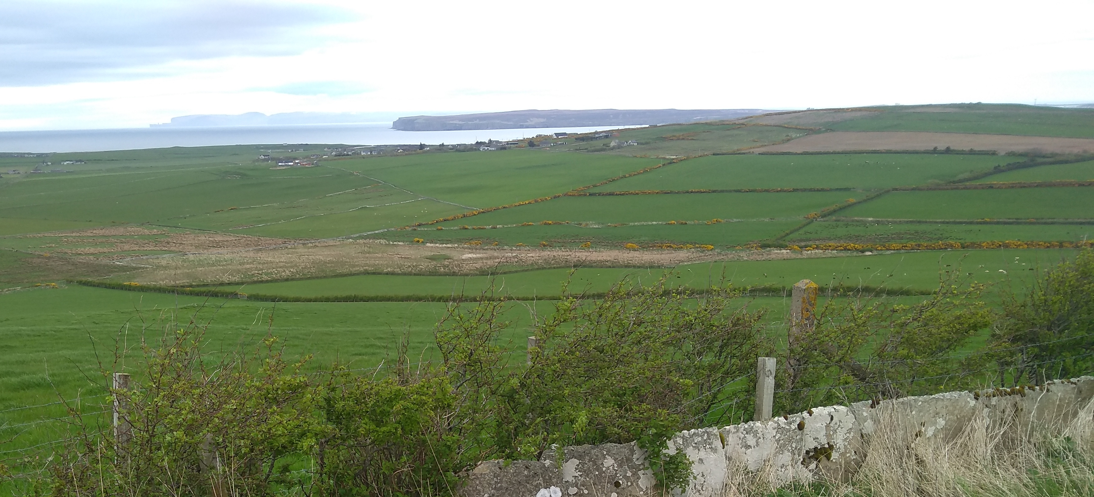 View along coast