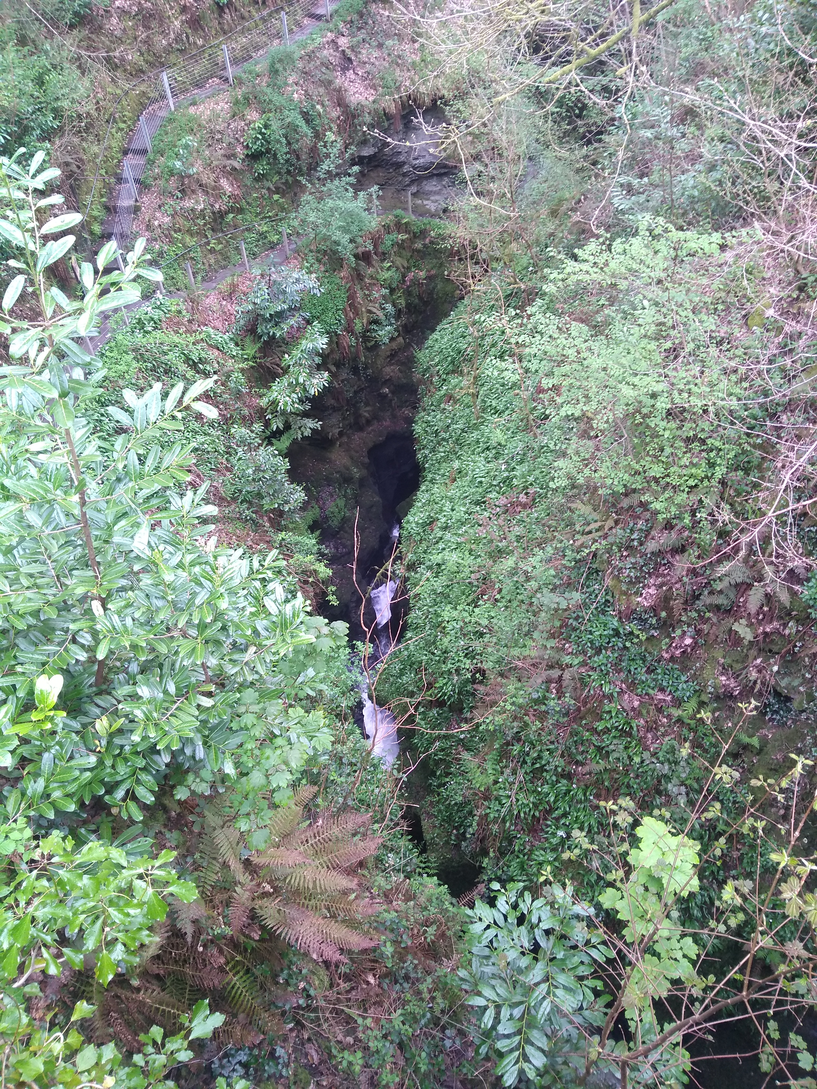 Lydford Gorge