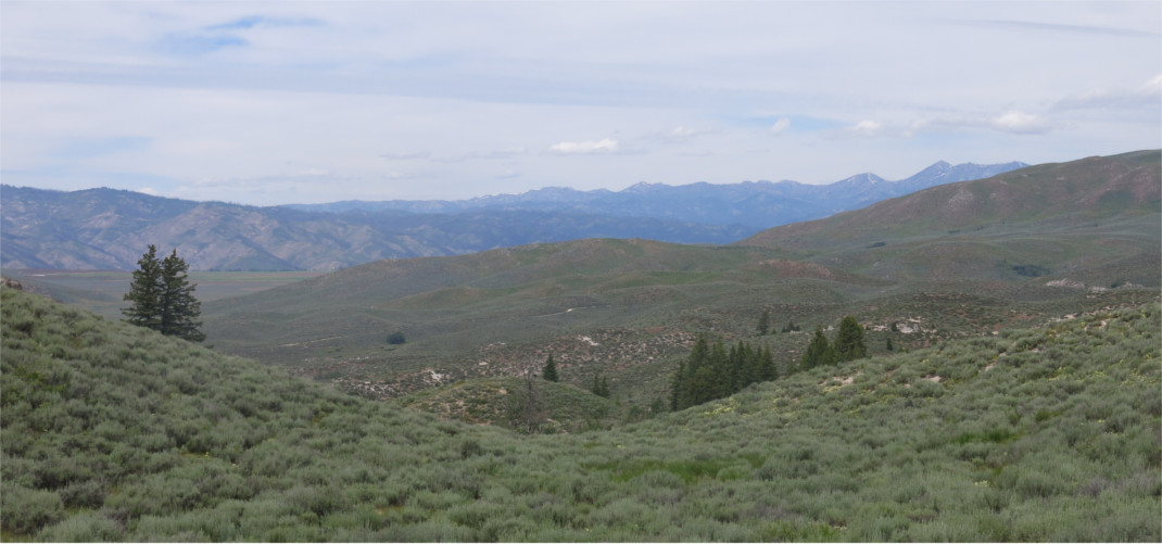 Sawtooth mountains in the background