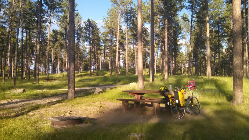 Beautiful Black Hills campsite