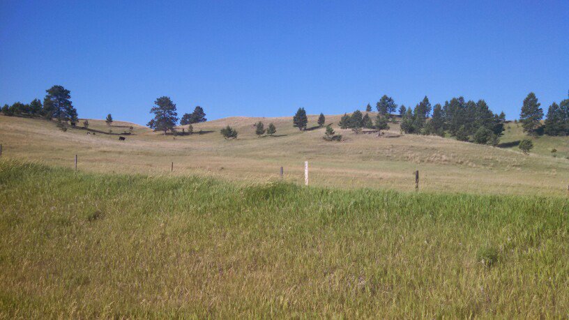 Nebraska grassland