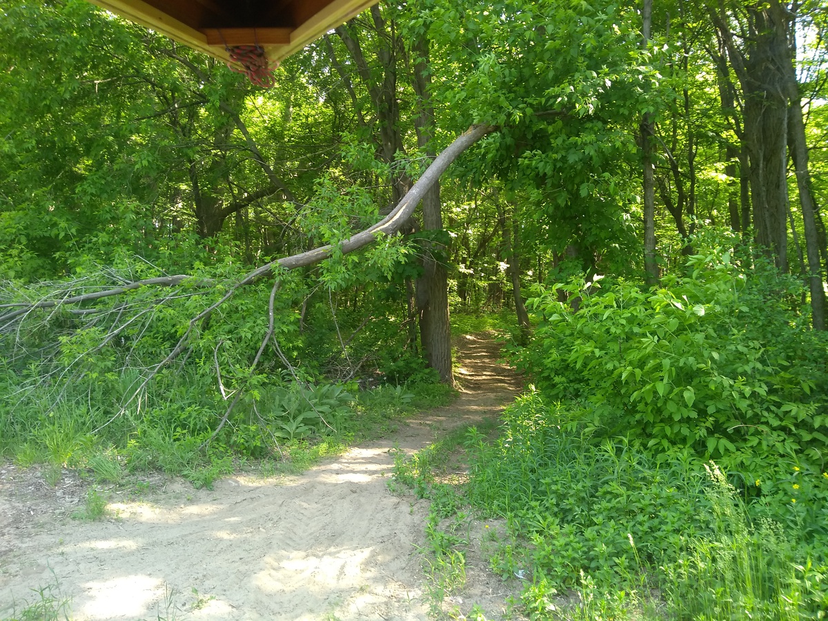 Hard to find path at Treadwell Mills Dam portage